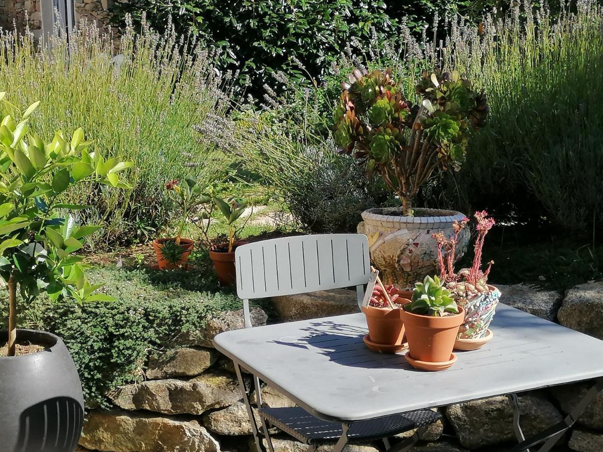 La Tour Du Bois Dormant Bed & Breakfast Plozevet Bagian luar foto