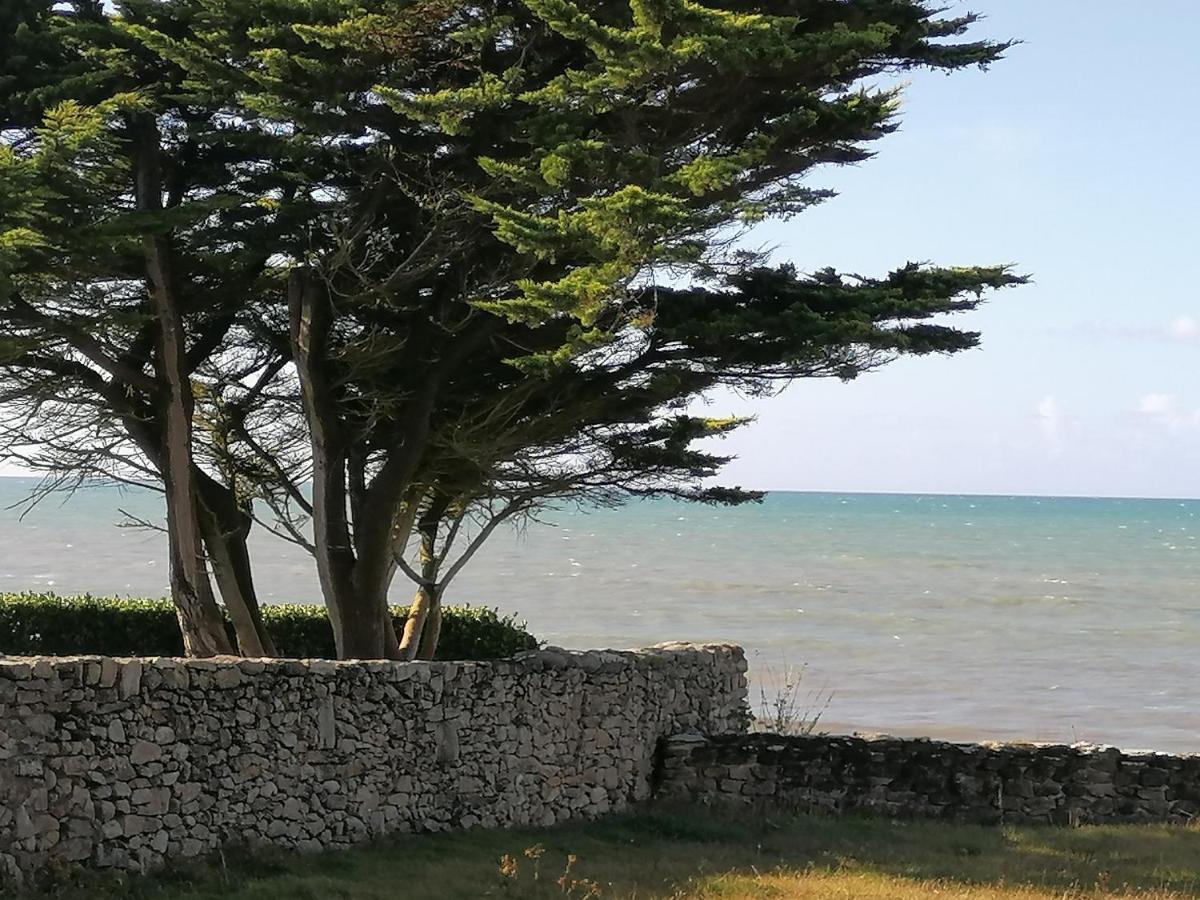 La Tour Du Bois Dormant Bed & Breakfast Plozevet Bagian luar foto