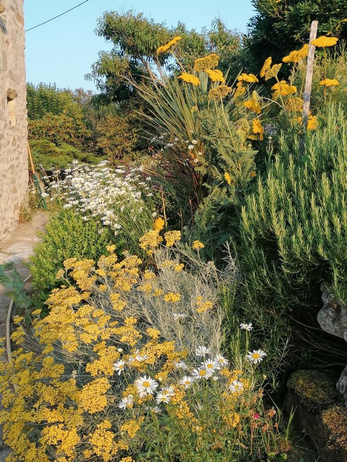 La Tour Du Bois Dormant Bed & Breakfast Plozevet Bagian luar foto
